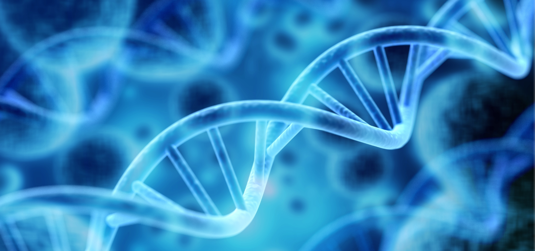 Research peptides – 99% Pure. COA Verified. Fast Global Shipping.